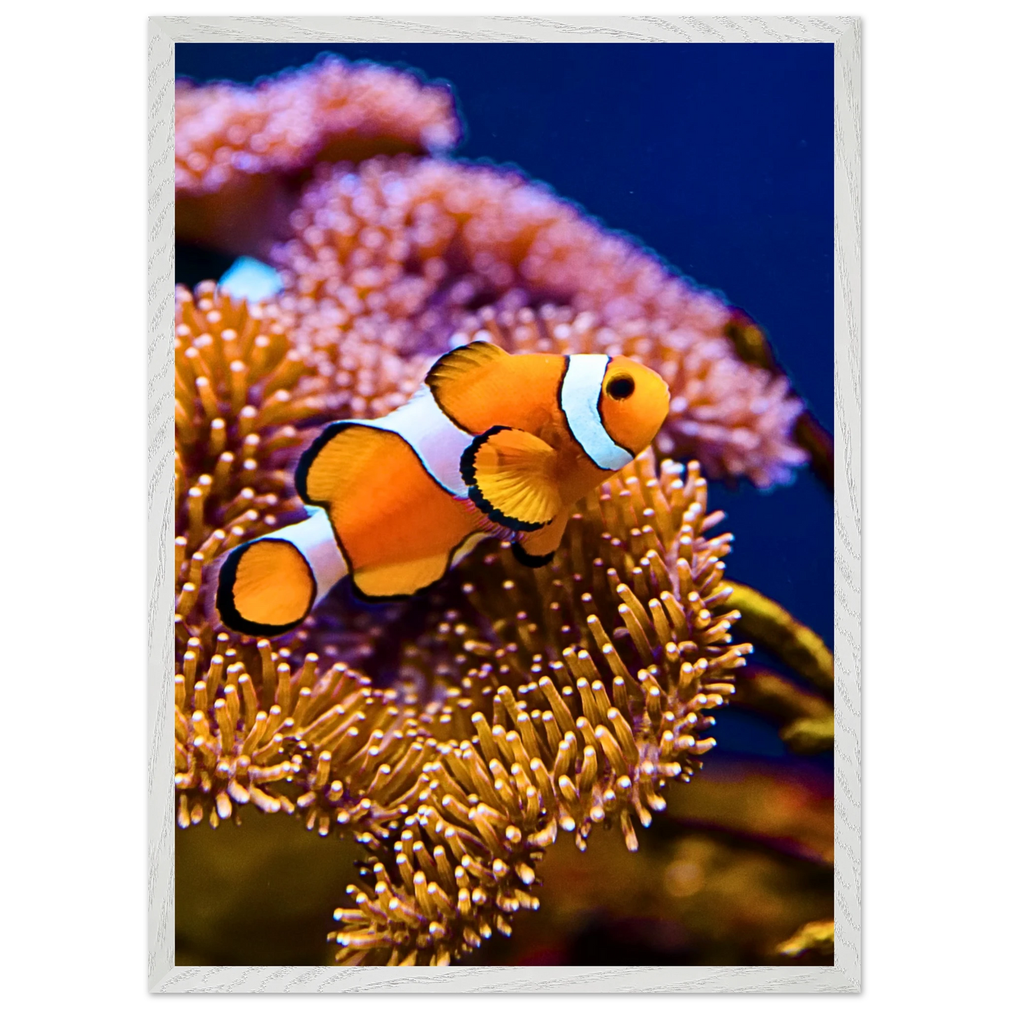 1d2d6819-5966-4803-a38b-0ee04e851928