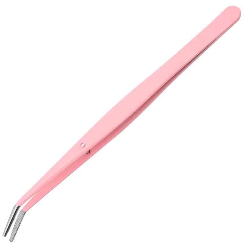 Set di strumenti per l'igiene orale in acciaio inossidabile