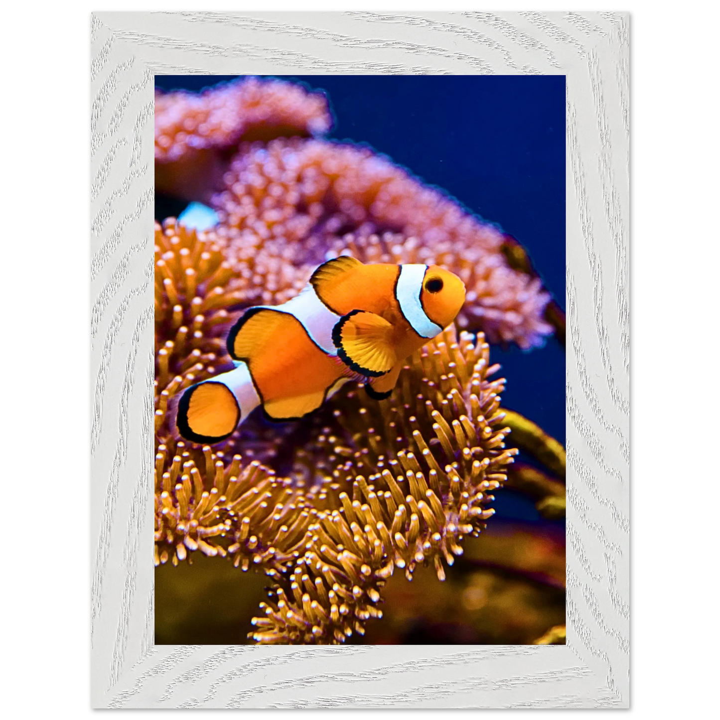 5873845b-3d10-4653-af78-64029b89b024