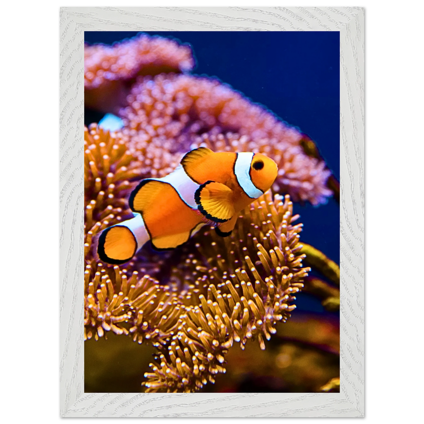 5aaf7e5d-d5b2-4b4a-8186-a02f13eae443