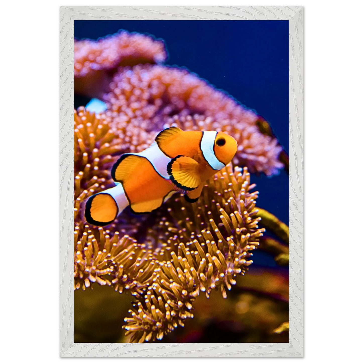 5eaf2271-1bf9-4e0b-90a8-6893a9107eb2