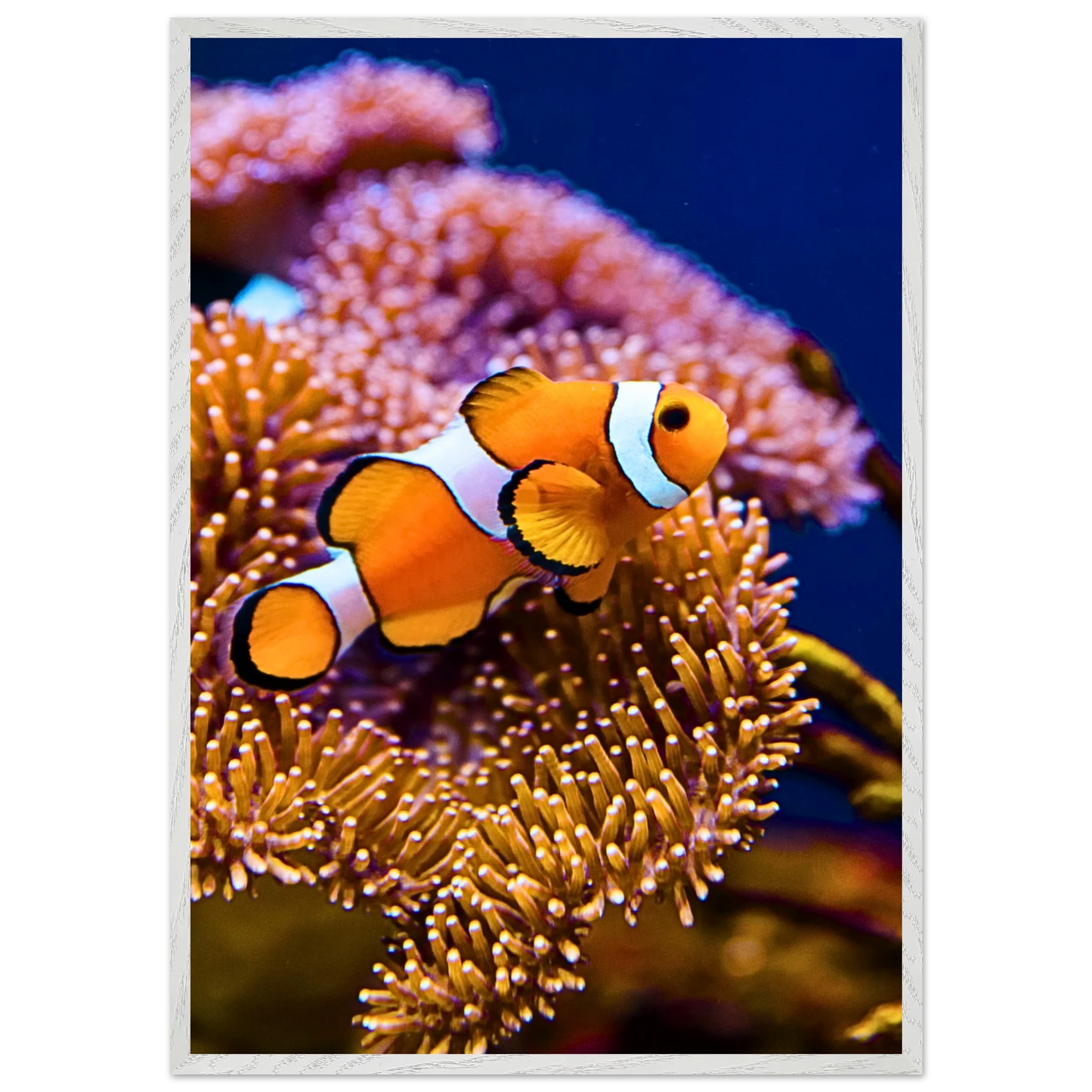 71859fbf-dfe2-469b-96ba-b56909e4a52d