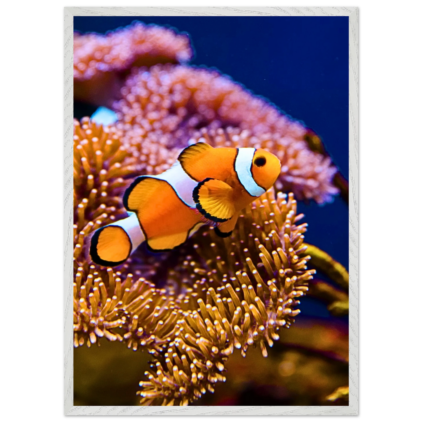 768222b8-a3c2-4b02-951e-92e0d960cf65