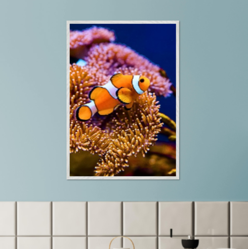 Pesce pagliaccio ( collezione Animali e Natura ) con cornice in legno di vari colori