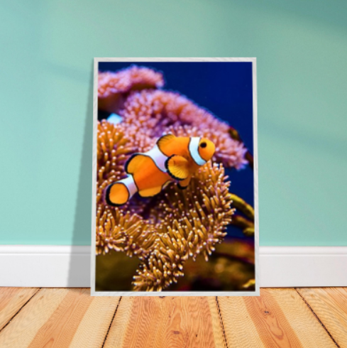 Pesce pagliaccio ( collezione Animali e Natura ) con cornice in legno di vari colori