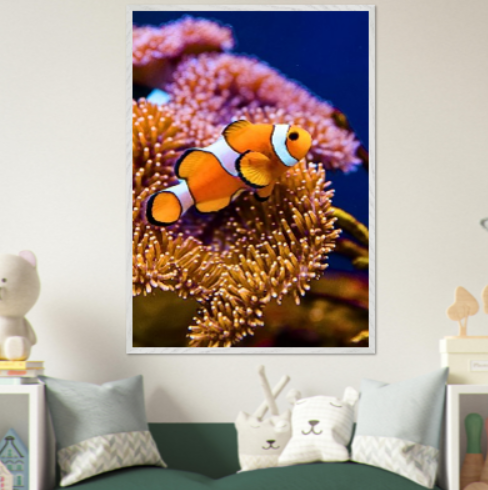 Pesce pagliaccio ( collezione Animali e Natura ) con cornice in legno di vari colori