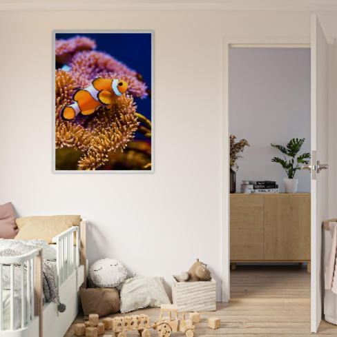 Pesce pagliaccio ( collezione Animali e Natura ) con cornice in legno di vari colori