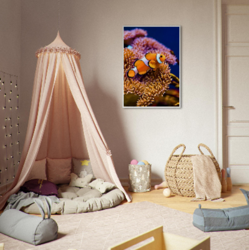 Pesce pagliaccio ( collezione Animali e Natura ) con cornice in legno di vari colori