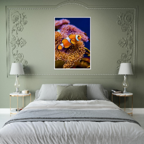 Pesce pagliaccio ( collezione Animali e Natura ) con cornice in legno di vari colori