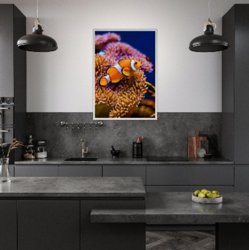 Pesce pagliaccio ( collezione Animali e Natura ) con cornice in legno di vari colori