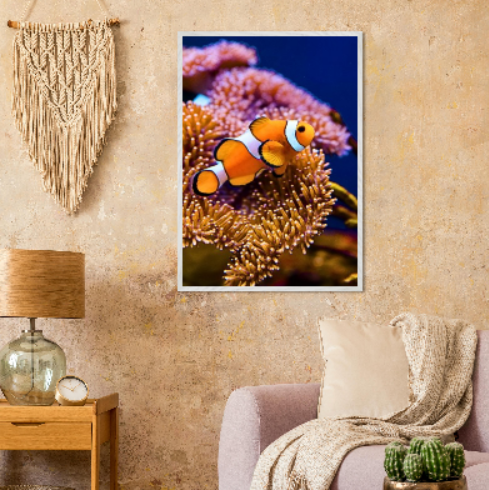 Pesce pagliaccio ( collezione Animali e Natura ) con cornice in legno di vari colori