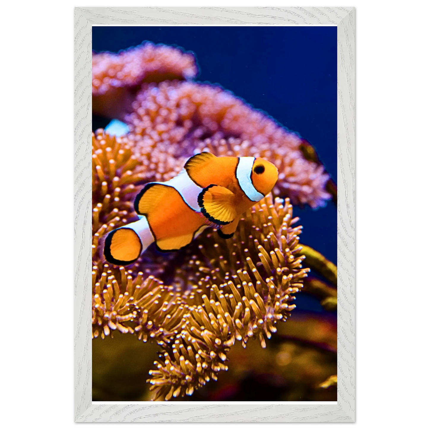 b3e595ac-e229-454b-827c-76edeb9eee0a