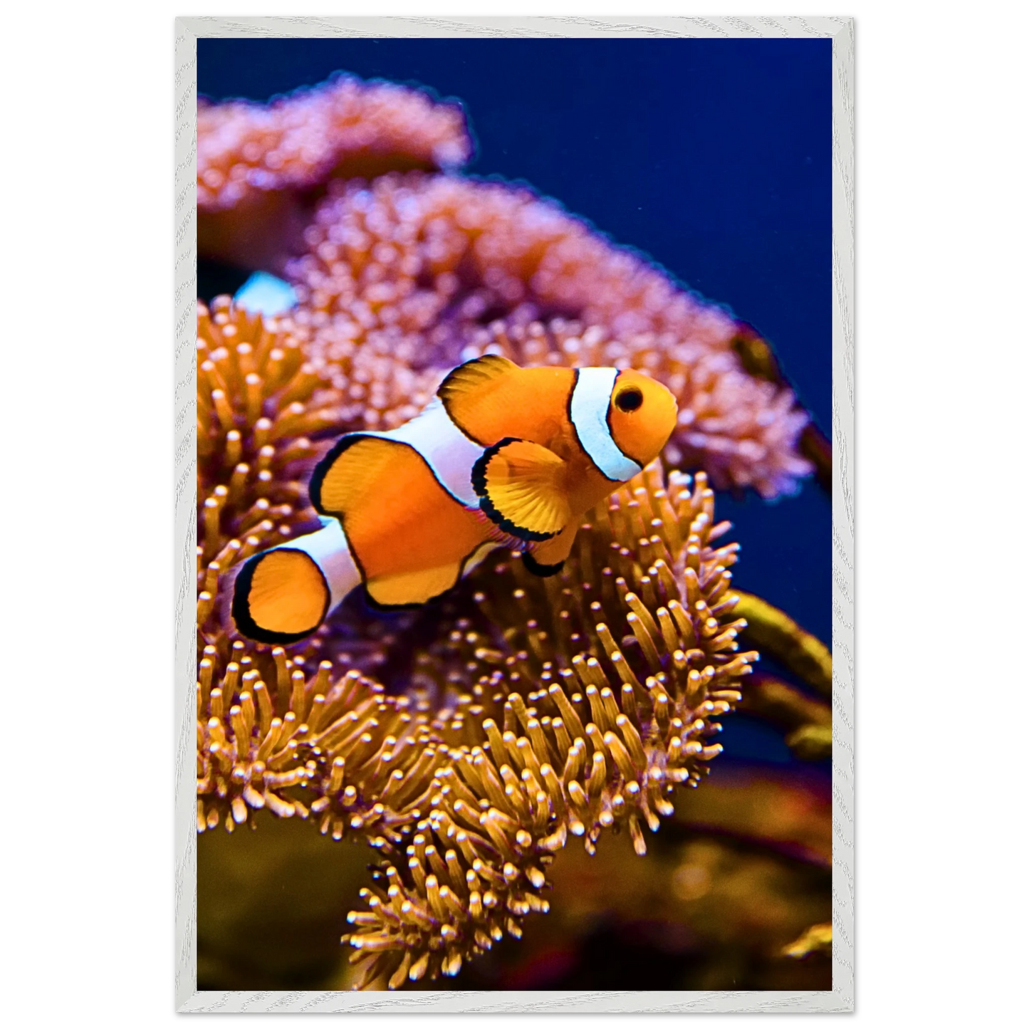 b5f4ca64-b468-4c29-bcf6-49c8be3470bf