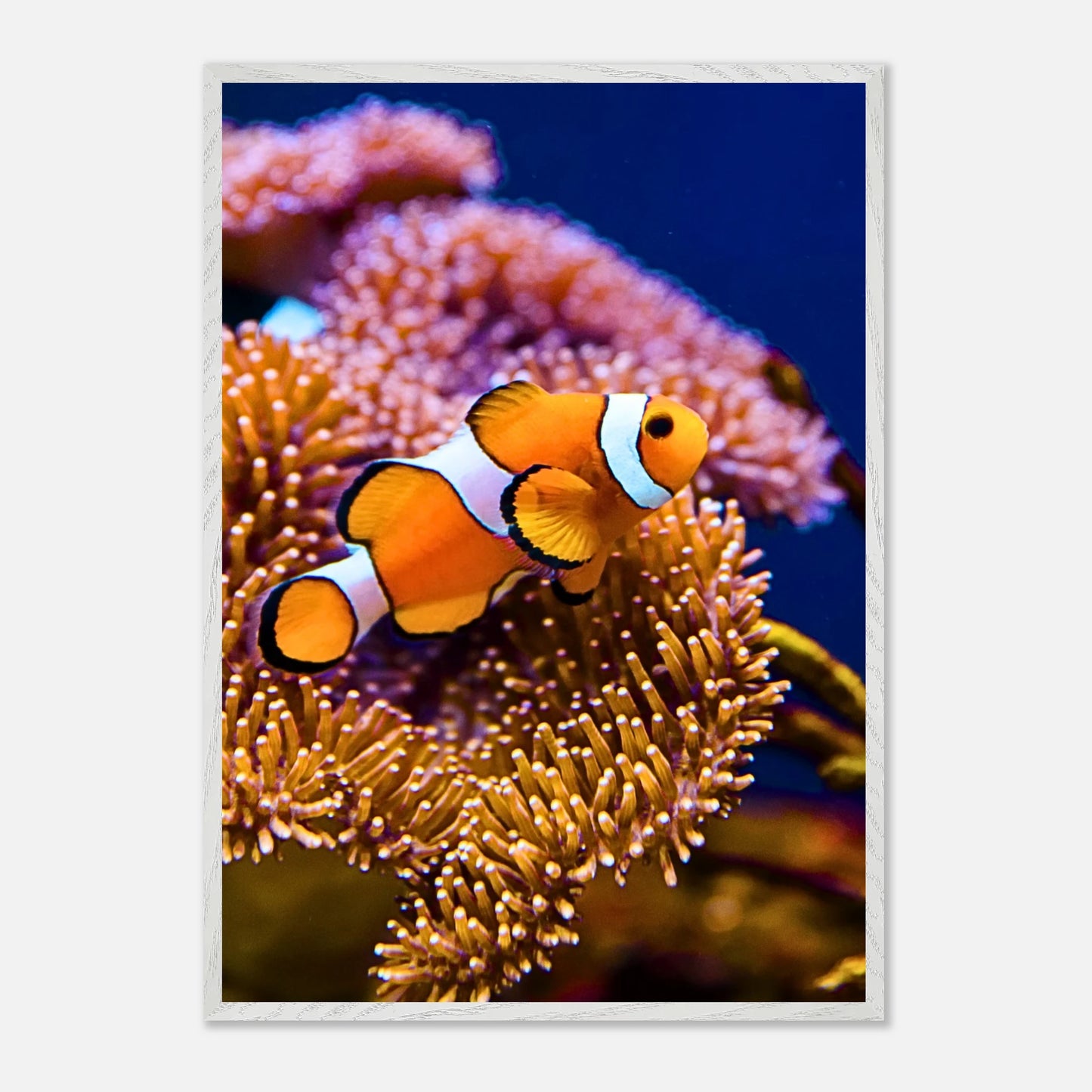 ba083581-d587-460c-8b24-a6f3c3fa44c7