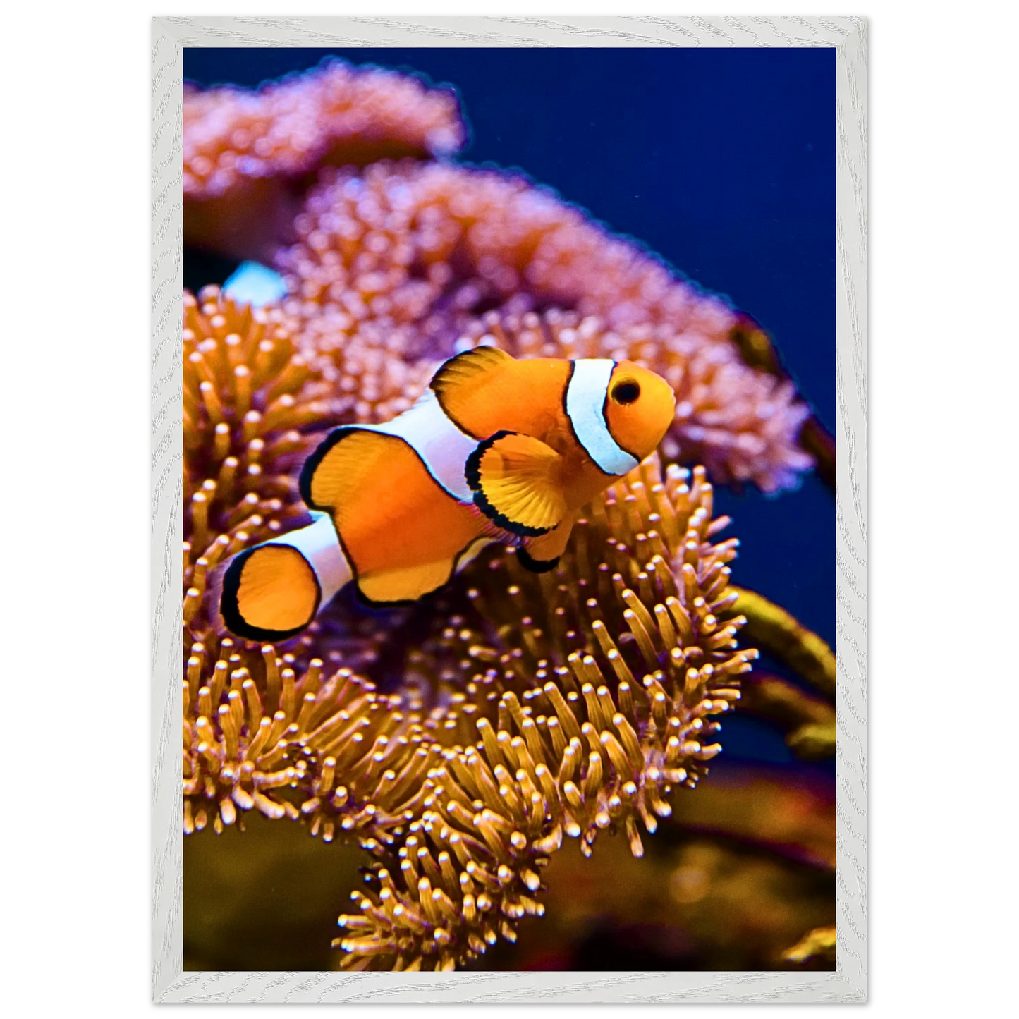 fba00278-b69d-47ee-bc5c-3b115792dc8f