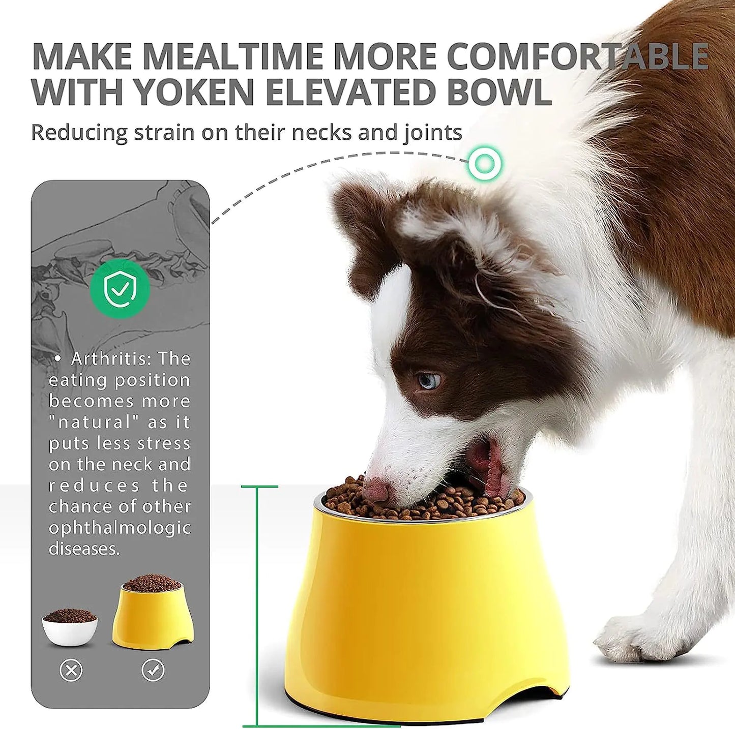 Ciotola antiscivolo in acciaio inossidabile per cani e gatti